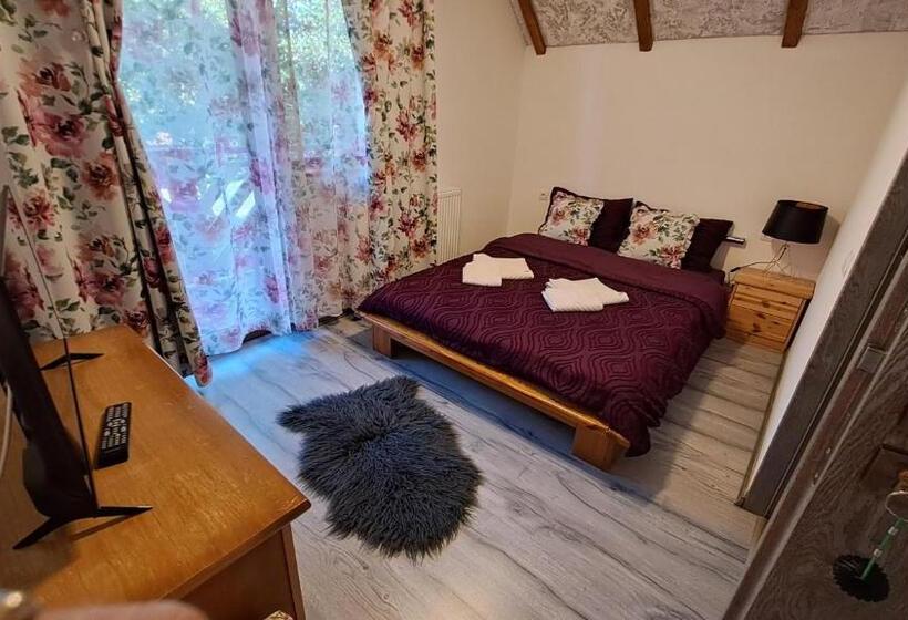 پانسیون Vis împlinit