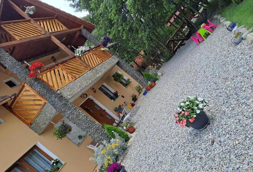 پانسیون Vis împlinit