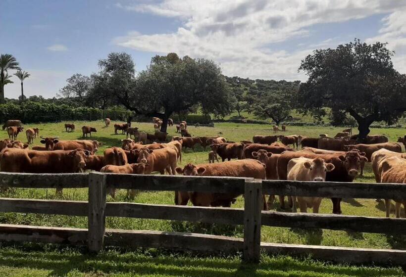אתר נופש Alojamiento Rural Finca Barral