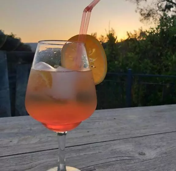 ベッドアンドブレックファースト El Violin Experiencia Adults Only