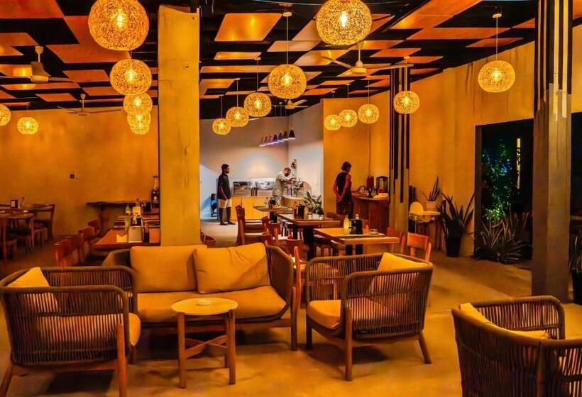 هتل Ahola Thoddoo, Maldives