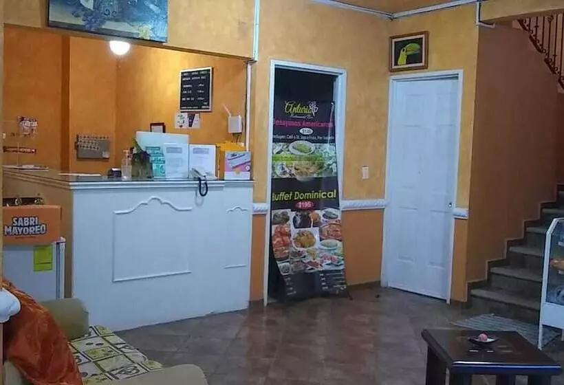 Hotelli Anturio Express