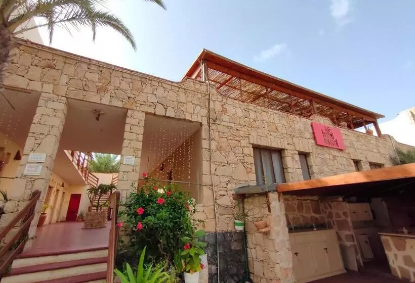 Estoril Hotel   Apartments