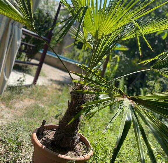 Pensão Norik Guest House