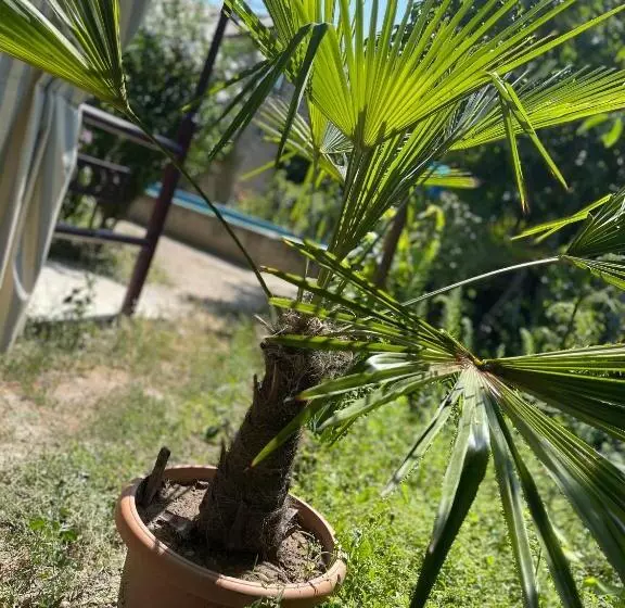 ペンション Norik Guest House