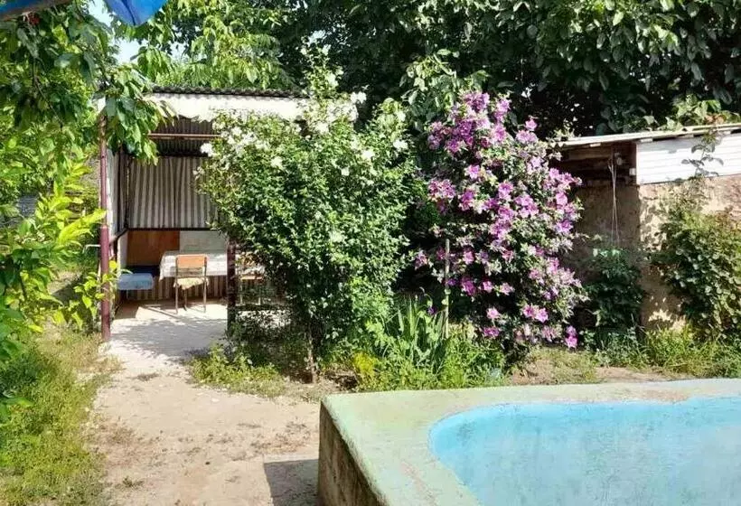 ペンション Norik Guest House