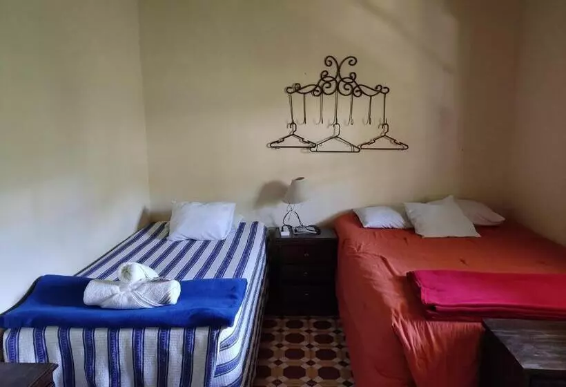 Calm Hostel