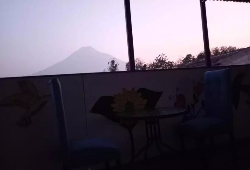 Calm Hostel