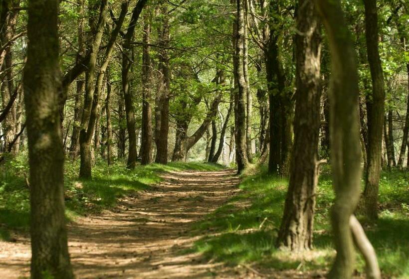 צימר Benb Hollandsingel