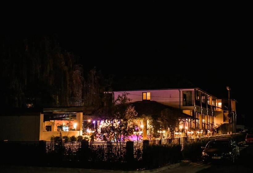 Hotel Hanul Cu Sălcii