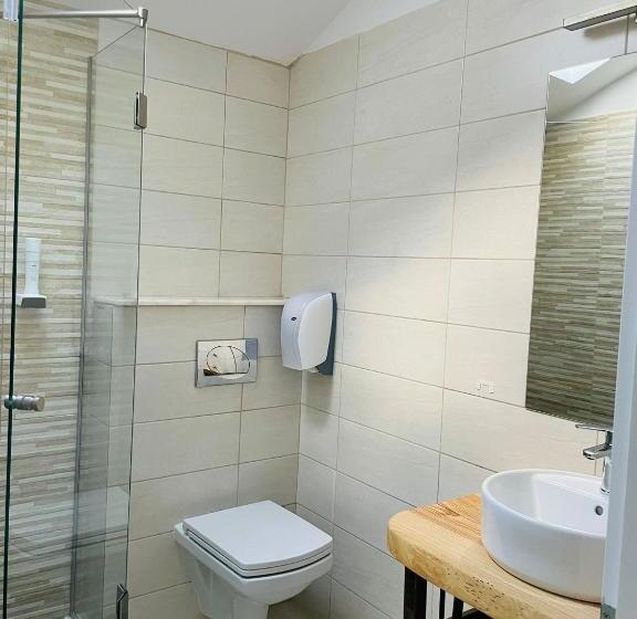 Hotel Hanul Cu Sălcii