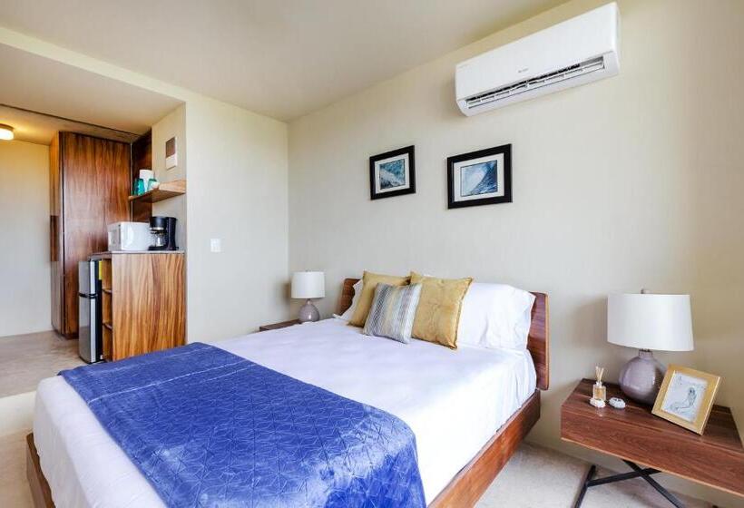 Huachinango By Homirent