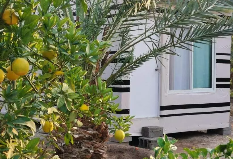 モーテル Almazham Camp Resort