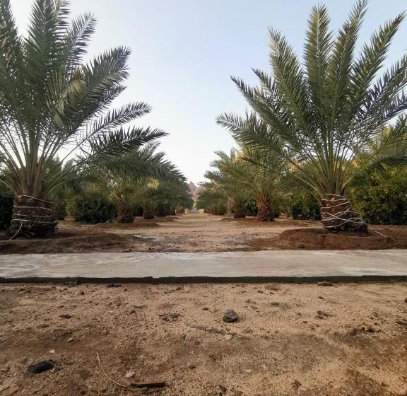 مُتل Almazham Camp Resort