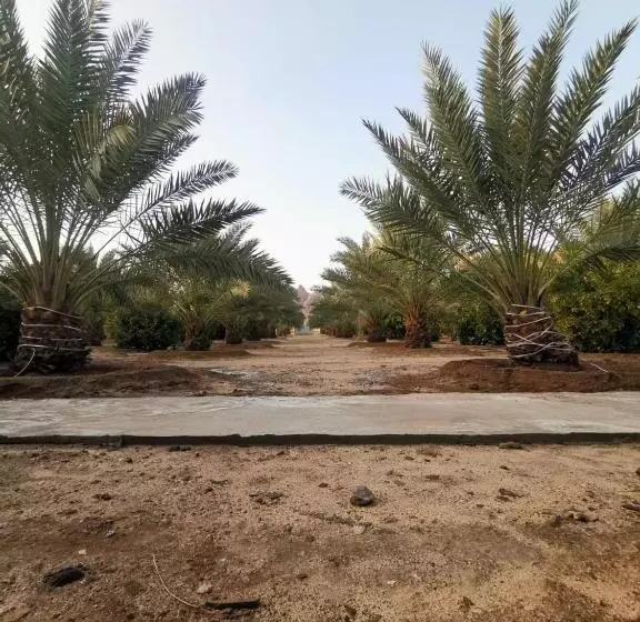 モーテル Almazham Camp Resort