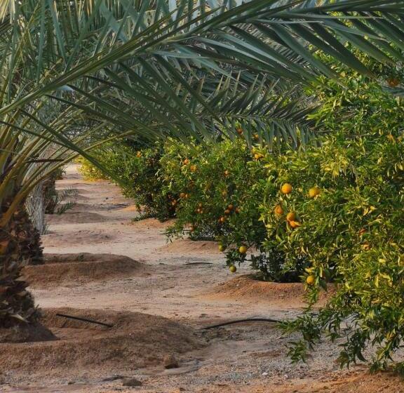 مُتل Almazham Camp Resort