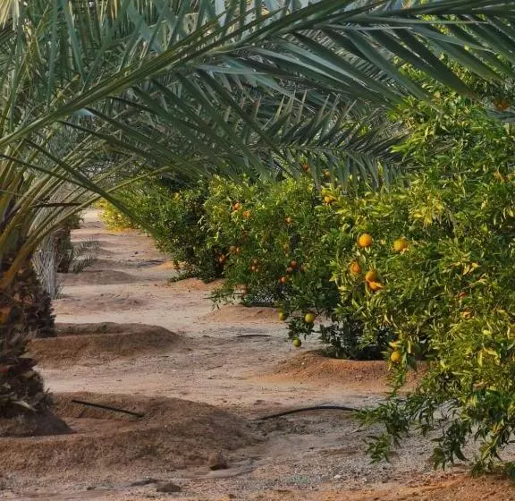 モーテル Almazham Camp Resort
