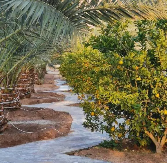 モーテル Almazham Camp Resort