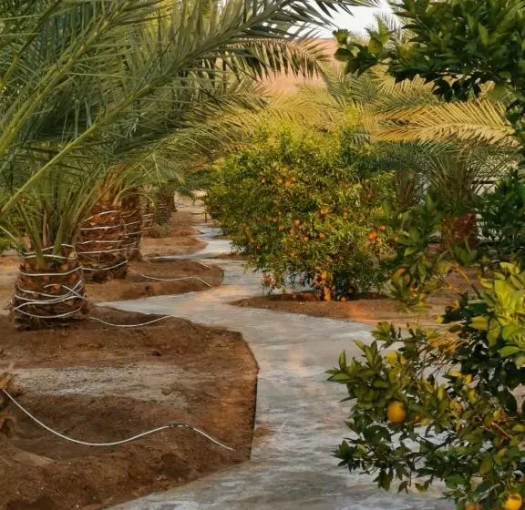 モーテル Almazham Camp Resort