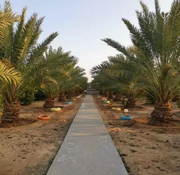 モーテル Almazham Camp Resort