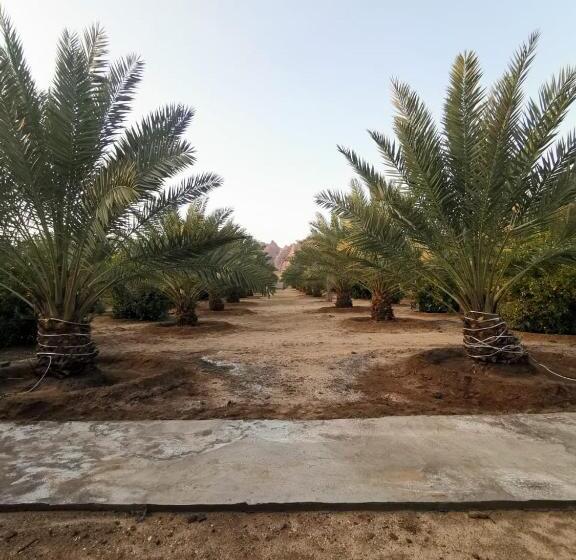 مُتل Almazham Camp Resort