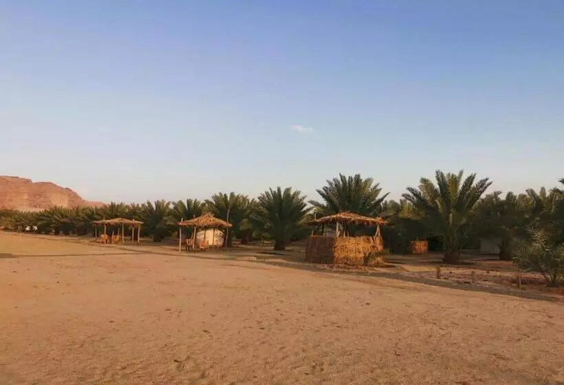 モーテル Almazham Camp Resort