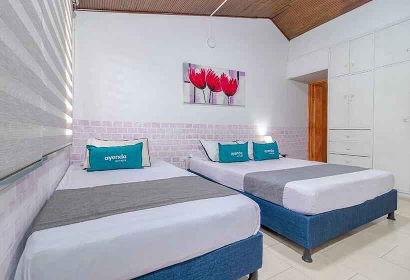 ペンション Ayenda Hostal El Tocororo