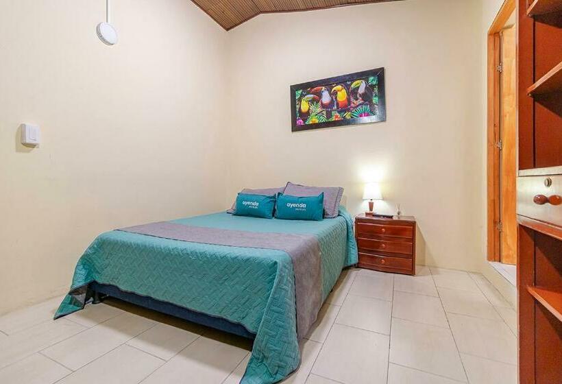 ペンション Ayenda Hostal El Tocororo