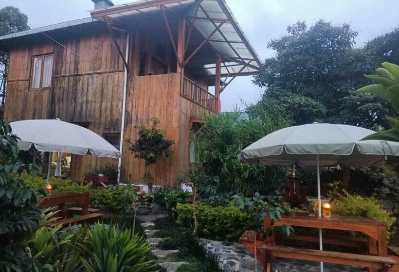 بنسيون Pelangi Guest House