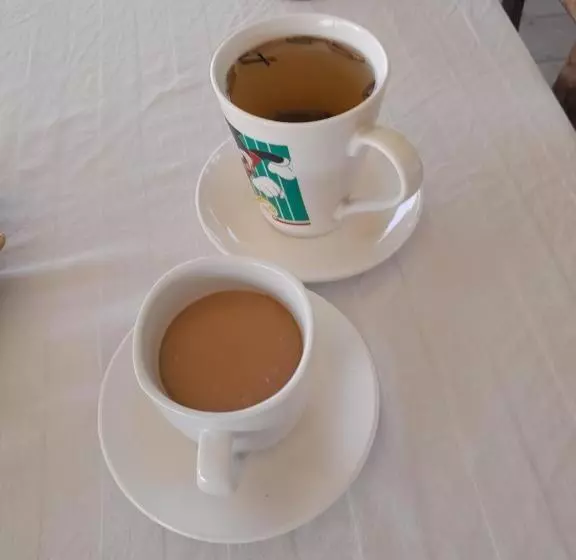 Majatalo Rivergarden Guesthouse And Restaurant