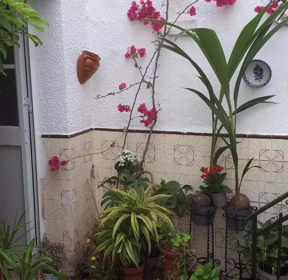 Pension The Jasmine House