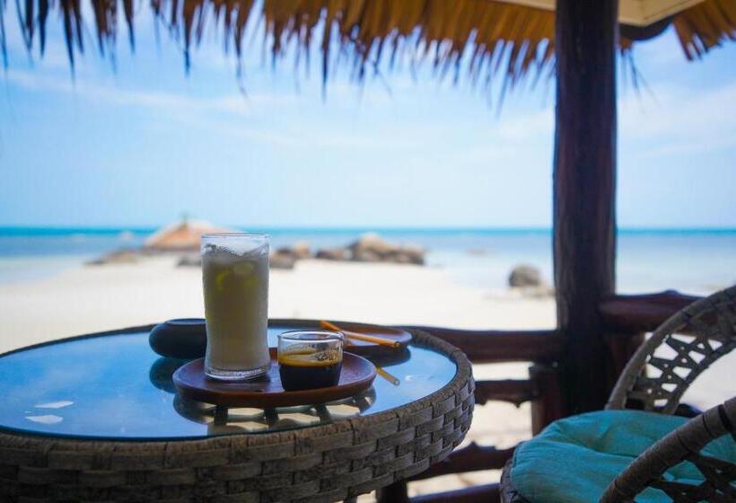 منتجع Ocean Vibes