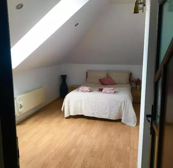 ベッドアンドブレックファースト Brasov Cucu Residence