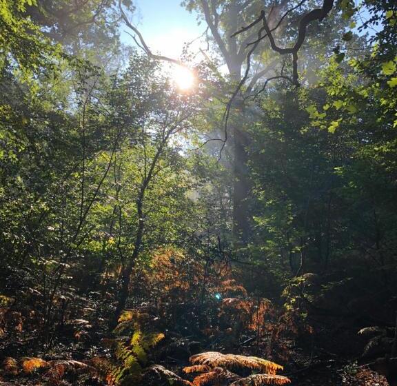 민박 La Plaine De L Angelus