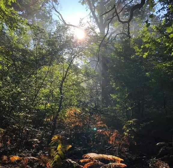 Aamiaismajoitus (B&B) La Plaine De L Angelus