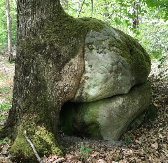 민박 La Plaine De L Angelus