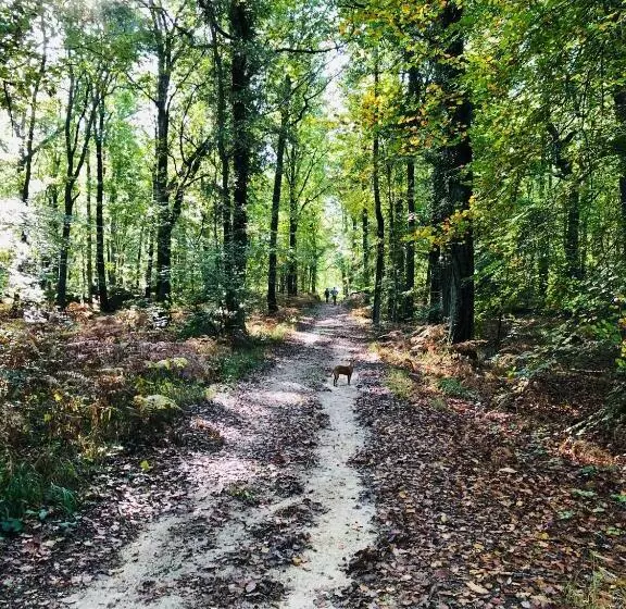 Aamiaismajoitus (B&B) La Plaine De L Angelus