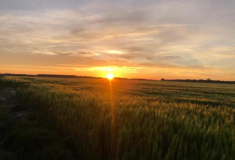 민박 La Plaine De L Angelus