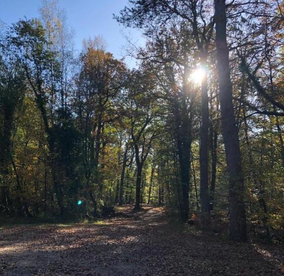 민박 La Plaine De L Angelus