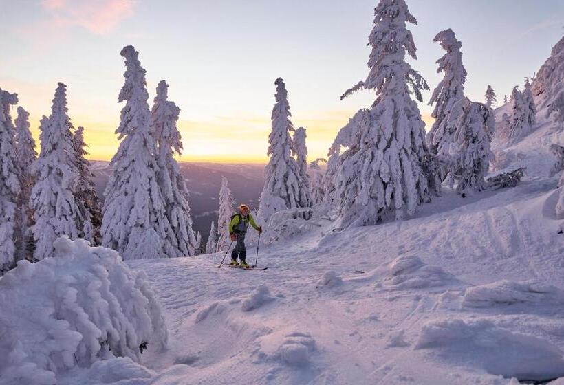 Das Kronberg Hotel   Adults Only   Inkl Soft  Und Heißgetränkeflat