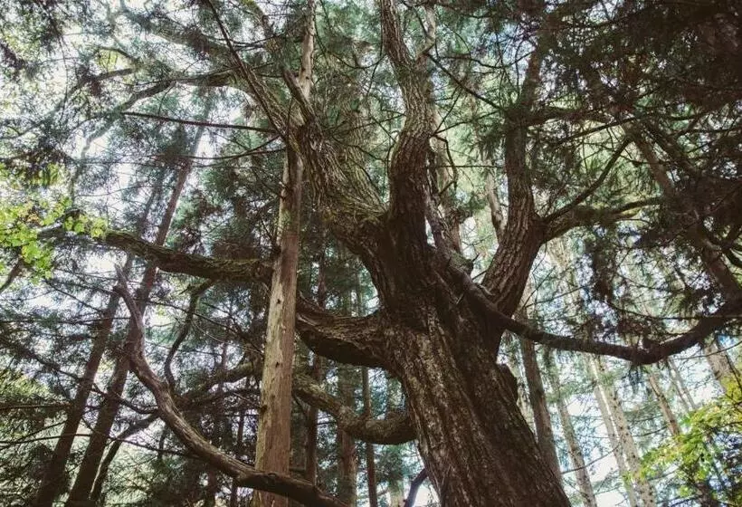 Hotelli La Terra Naganoーvacation Stay 80689v