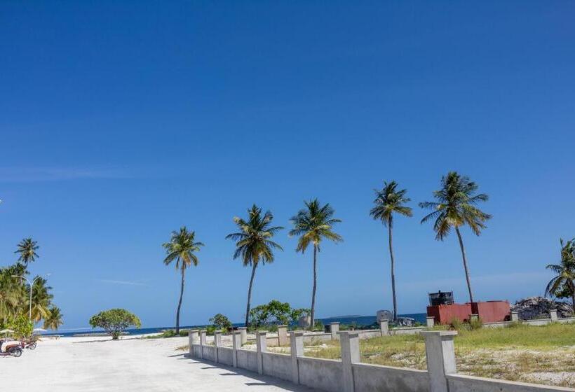 Pensjonat Lvis Village