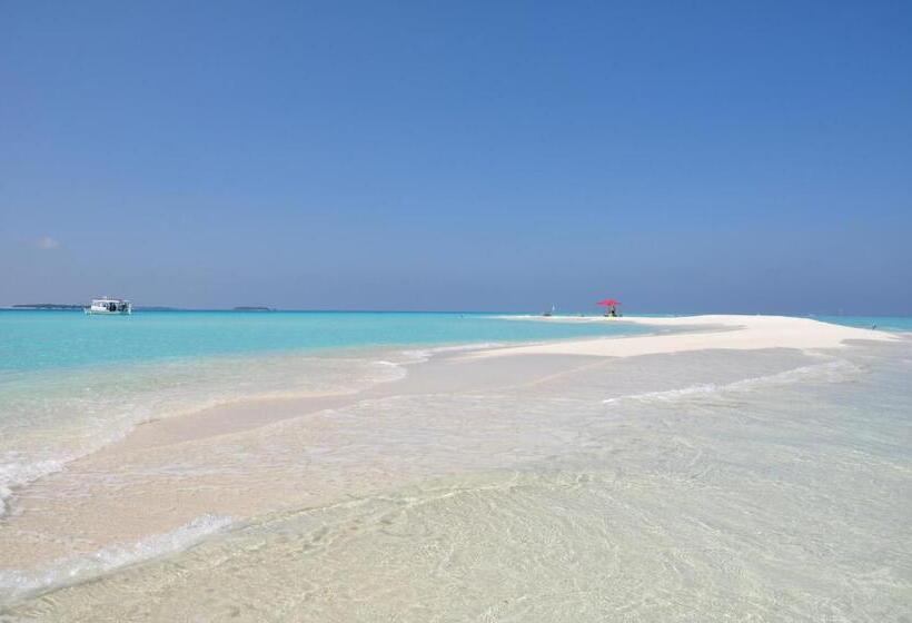 Pensjonat Lvis Village