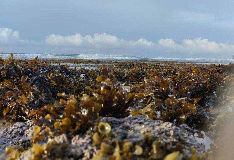 پانسیون Shiny Villa