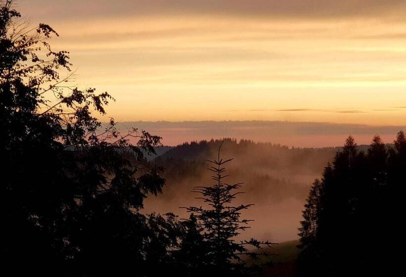 פנסיון Willa Koszysta