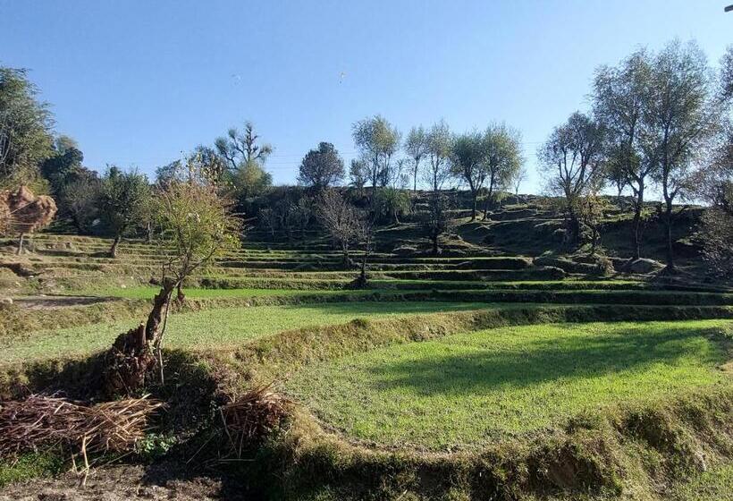 The Hostel Stories, Bir   Landing Site