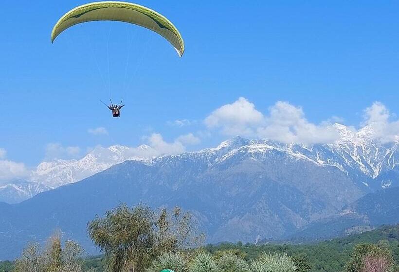 The Hostel Stories, Bir   Landing Site