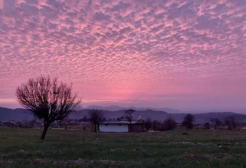 The Hostel Stories, Bir   Landing Site