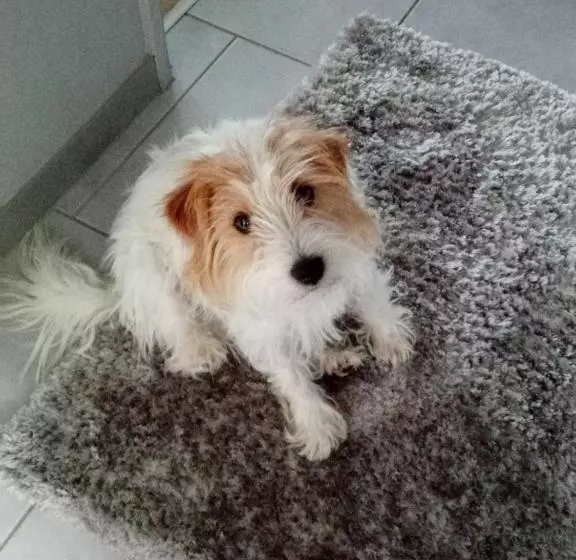Aamiaismajoitus (B&B) Au Calme