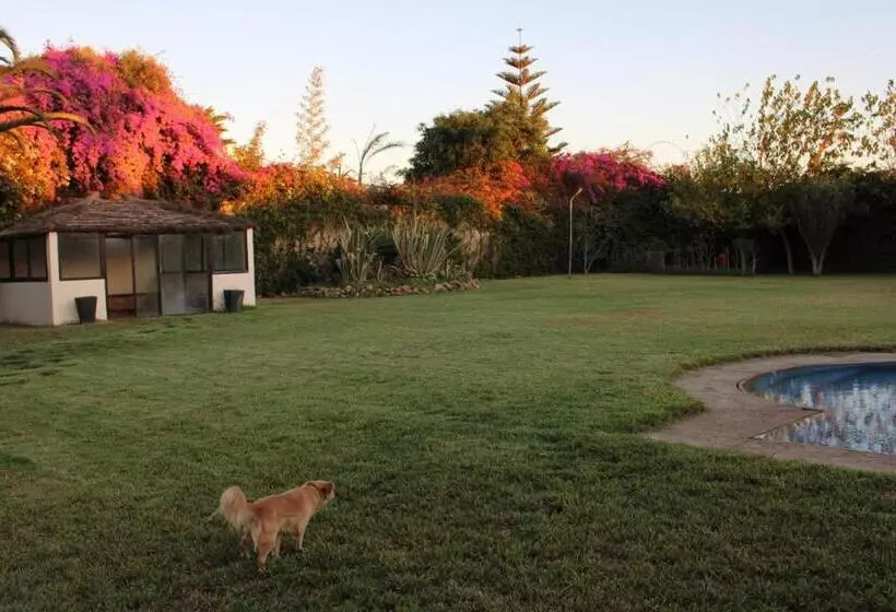 Aamiaismajoitus (B&B) Jnane Ville Verte